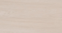Porcelanato Botanica Fendi Ma 19,7X120 1,42M²