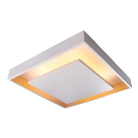 Plafon de Sobrepor Ghost Br e Dr 47X47CM