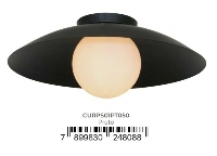 Plafon Cuia Preto 50X21